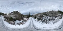 Winter Dirt Road Overcast