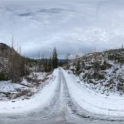 Winter Dirt Road Overcast