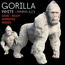 White Gorilla