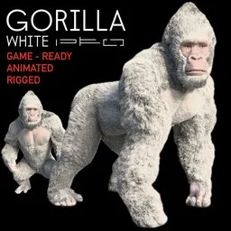 White Gorilla