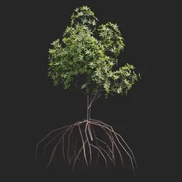 Mangrove Plant + Geometry Nodes + animation