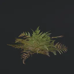"Game ready Small Fern a1 3D model with PBR textures for Blender 3D - perfect for creating natural and decorative scenes inspired by Mac Conner's style. This fern is designed with 8k resolution, adding a photorealistic touch to your design. Ideal for gaming, miramar, and camo scenes."