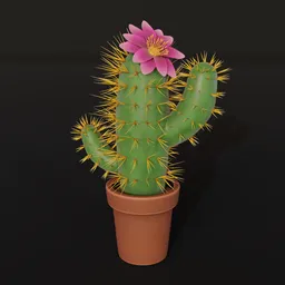 Stylized Cartoon Cactus