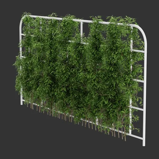 Grid Ivy Simple Plant