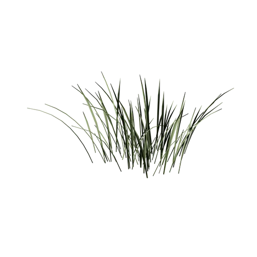 Simple Grass Patch 2