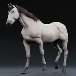 Realistic Rigged White Horse