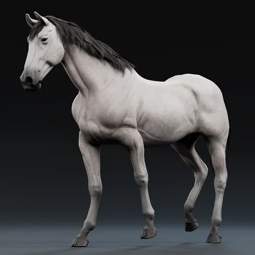 Realistic Rigged White Horse