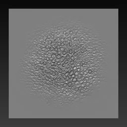 NS Reptile skin scales damaged