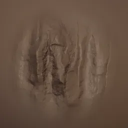 Rock Rugged Brush