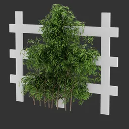 Simple Rail Ivy Plant AQ