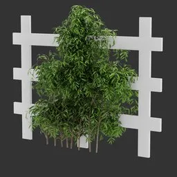 Divider Fence Climber Plant