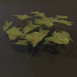 Ground Cover Broad Leaves Lrg