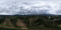 Cloudy during the day in the forest