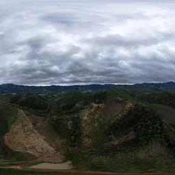 Cloudy during the day in the forest
