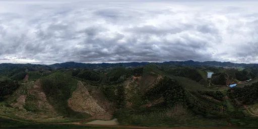 Cloudy during the day in the forest