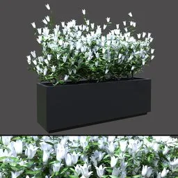 White Flower Planter Box