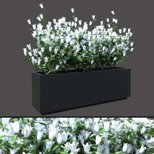 White Flower Planter Box