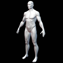 Male Base Mesh - muscular
