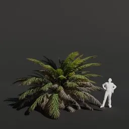Palm Tree Small Dense