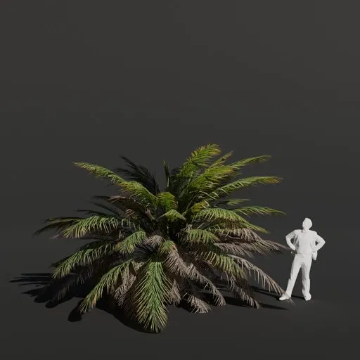 Palm Tree Small Dense