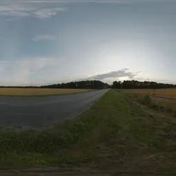 Straw Rolls Field 01
