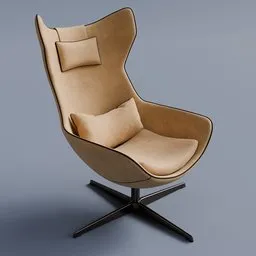 Modern Egg Chair