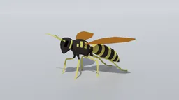 Detailed low poly 3D hornet model with optimized mesh for CG visualization in Blender.