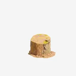 "Get a high-quality 4K photoscan of a sawed-off tree stump for your Blender 3D project. This PBR scan features a degradation filter, bark-like texture, and earthy tones for a natural look. Perfect for RPG game items and other videogame assets amid nature."