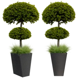 Realistic 3D model of potted outdoor plants with lush foliage, designed in Blender with high-quality textures and materials.