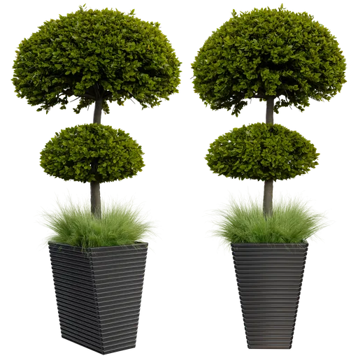 Realistic 3D model of potted outdoor plants with lush foliage, designed in Blender with high-quality textures and materials.