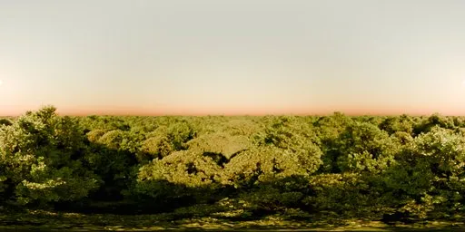 360-degree HDR panorama of a serene forest at dawn with a gradient sky and blooming flowers.