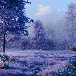 Valley