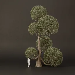 SJ-Ornamental Tree Tilt Shine