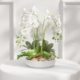 White Orchid Centerpiece