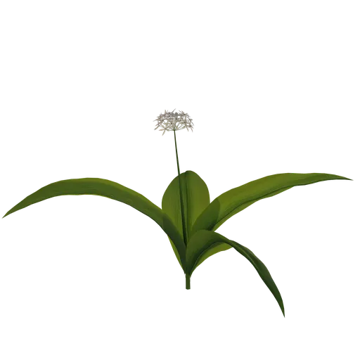 Realistic 3D model of a green plant with detailed petals, suitable for Blender.