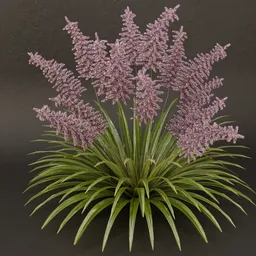SJ-Hushed Twilight Shrub
