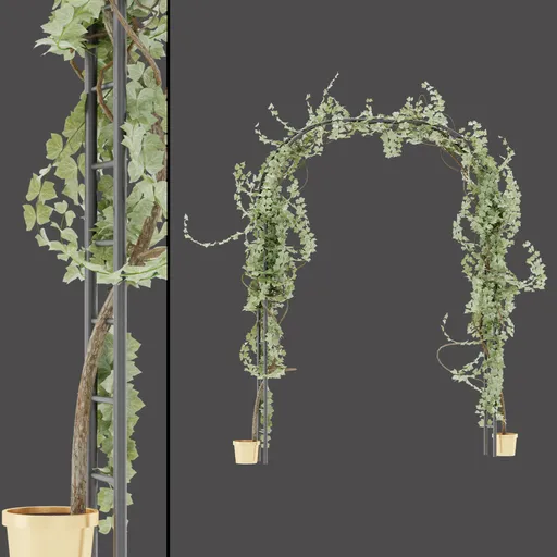 Ivy Potted Archway