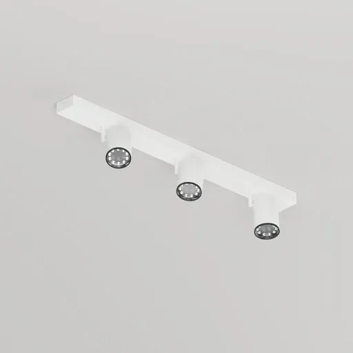 Modern adjustable Ceiling Spotlight