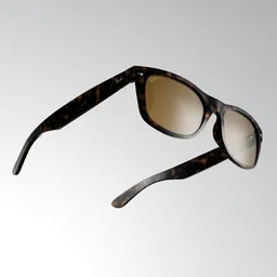 Ray Ban Sunglasses