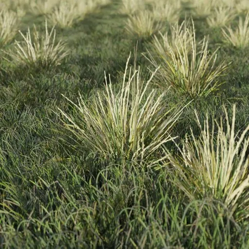 Realistic 3D model of medium-sized alpine grass bunches, optimized for Blender, suitable for game environments.