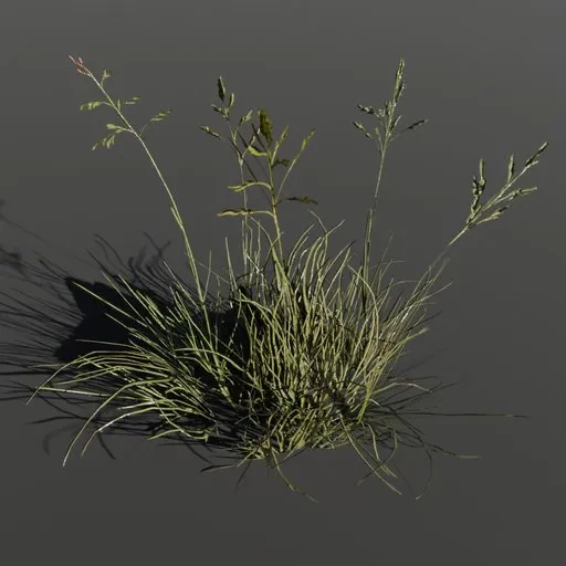 Detailed 3D model of green alpine grass for Blender, suitable for architectural visualization and gaming.
