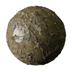 Wet Mud Ground With Organic Debris