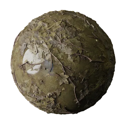 Wet Mud Ground With Organic Debris