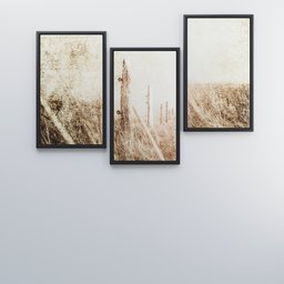 Three Canvas art print pictures