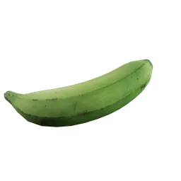 Musa paradisiaca