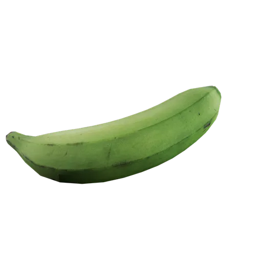 Musa paradisiaca