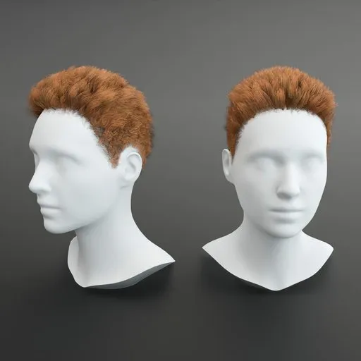 Hair