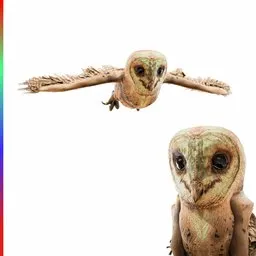 Owl Baby Animated