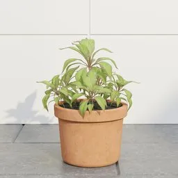 Pastel Foliage Houseplant Pot
