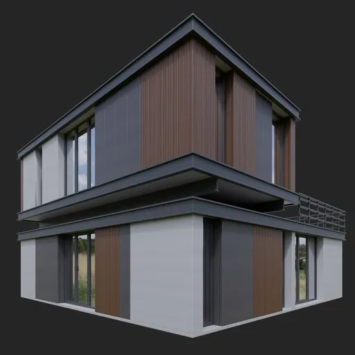 Modern wooden house